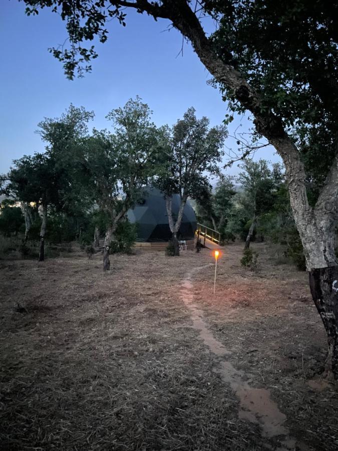 Holiday home Nature Nest