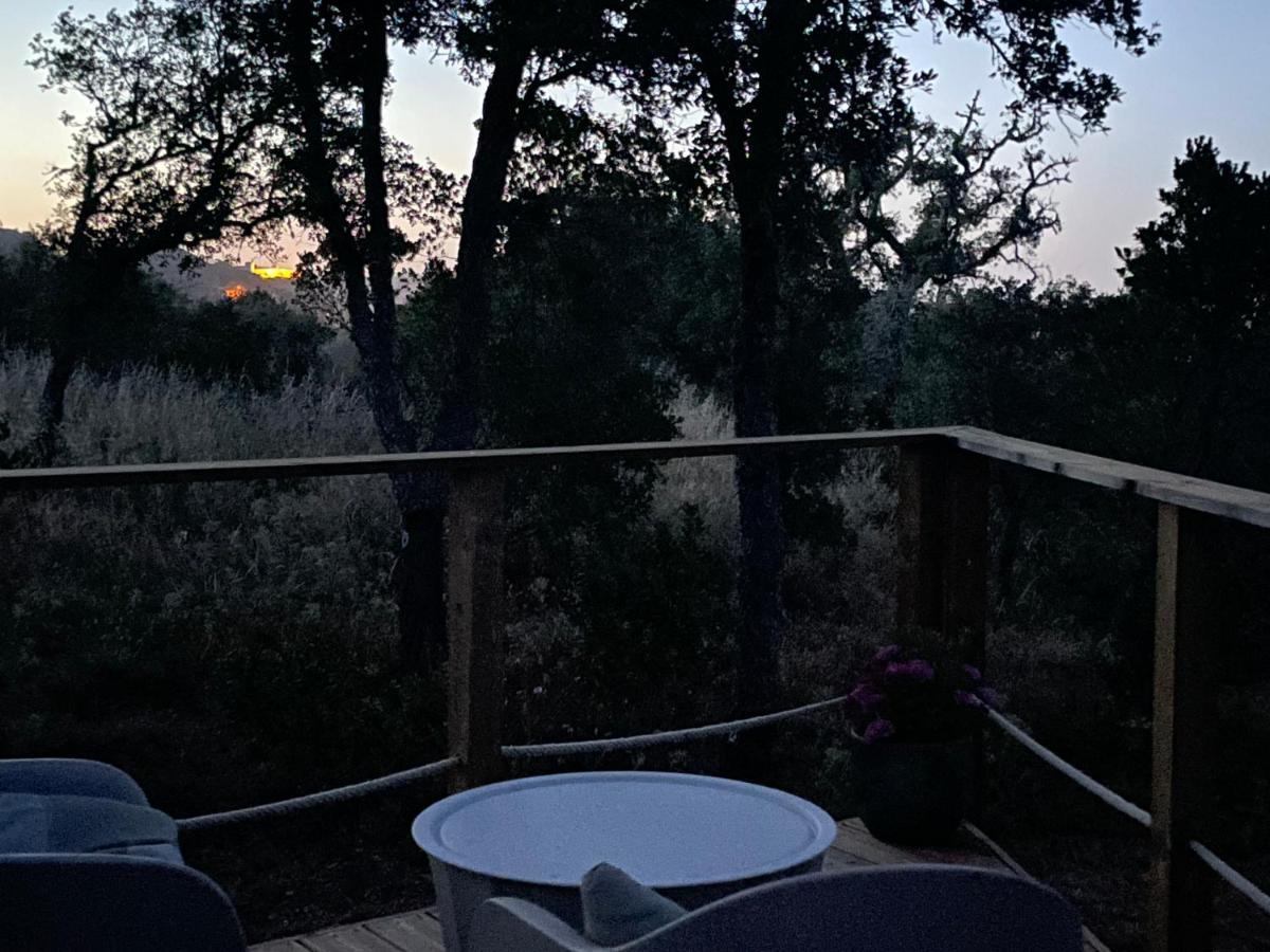 Nature Nest Aljezur