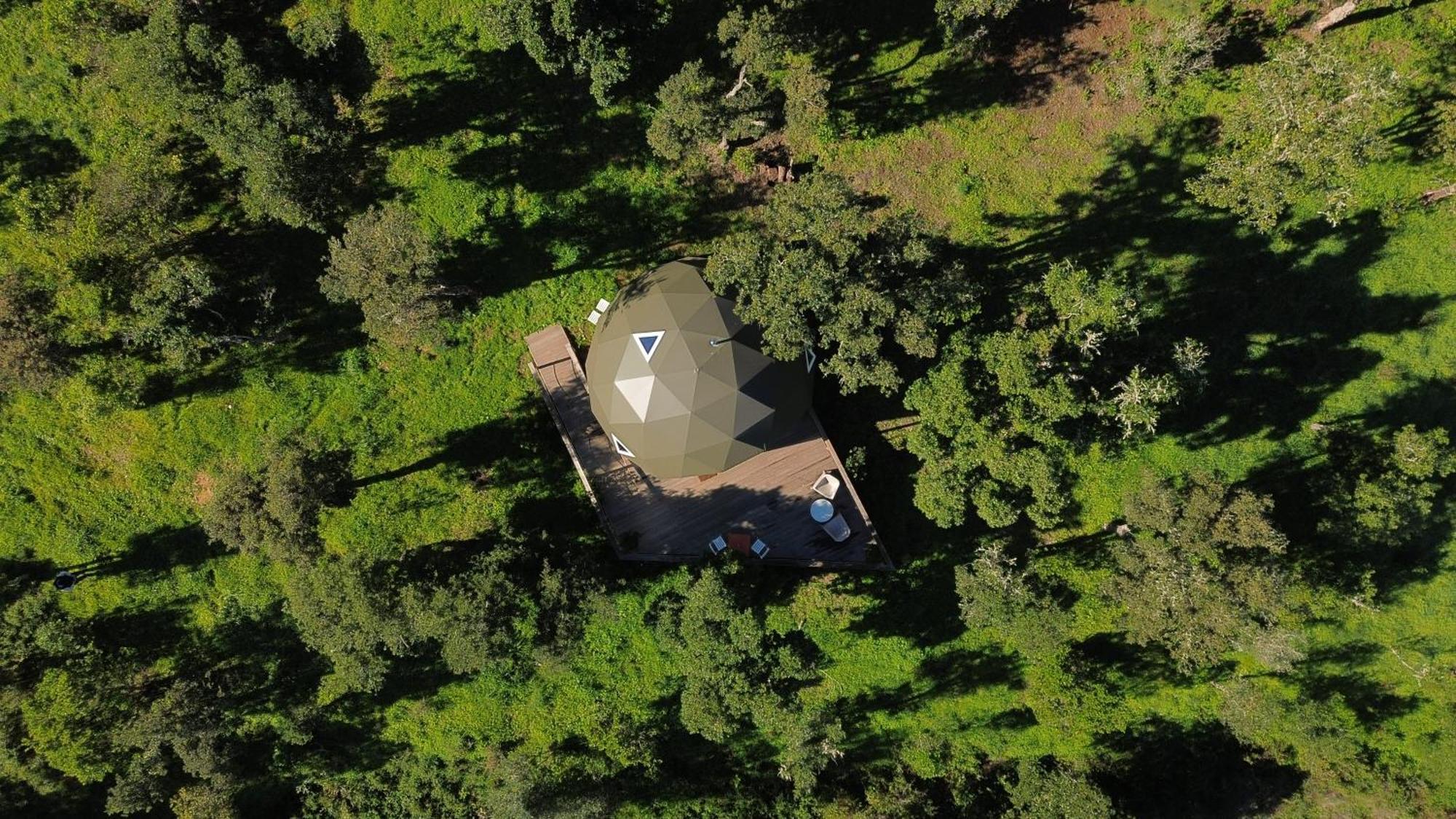 Nature Nest