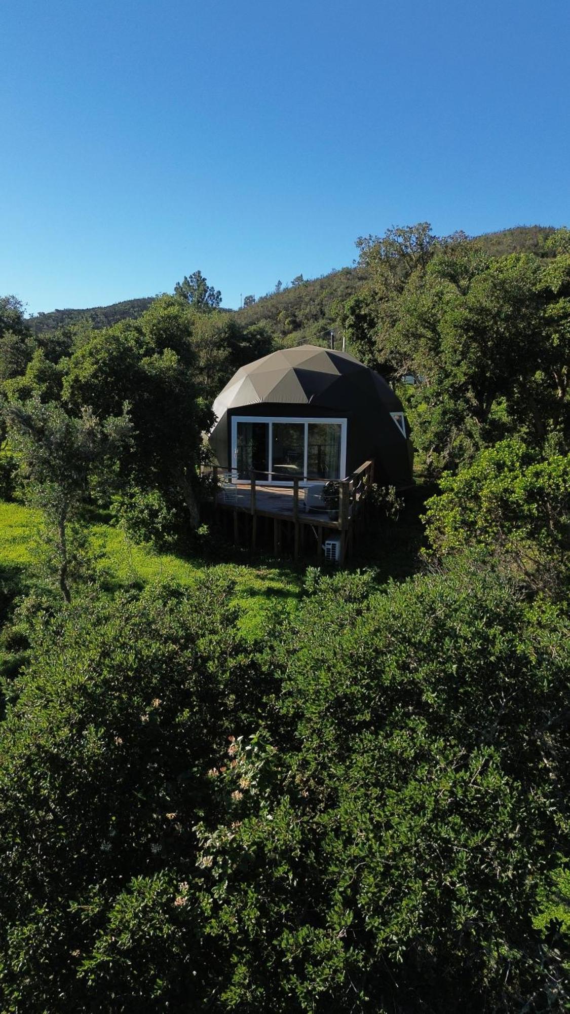 Nature Nest